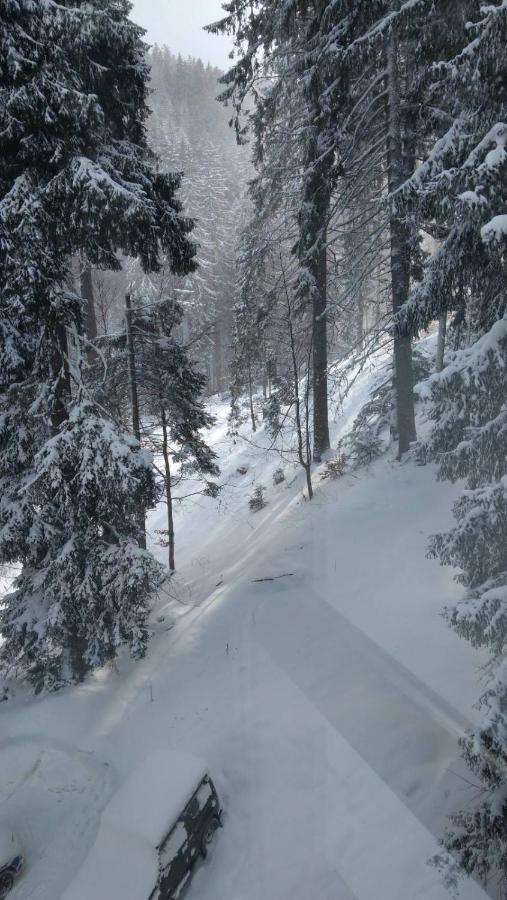 Ski & Holiday Apartments In Pamporovo Exterior photo