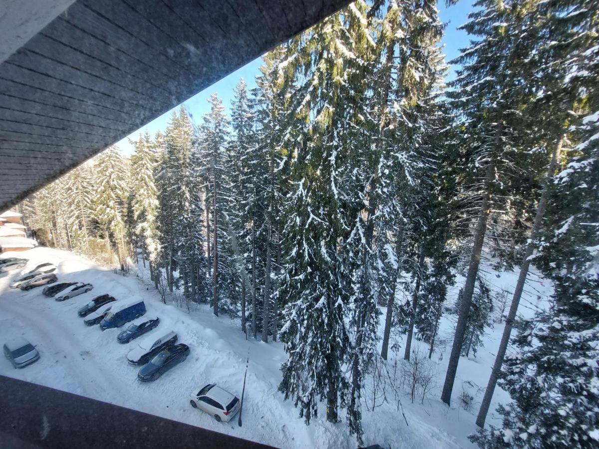 Ski & Holiday Apartments In Pamporovo Exterior photo